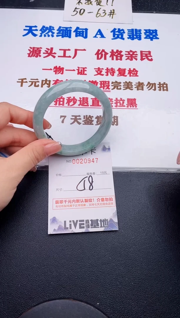 未镶嵌手镯翡翠47
