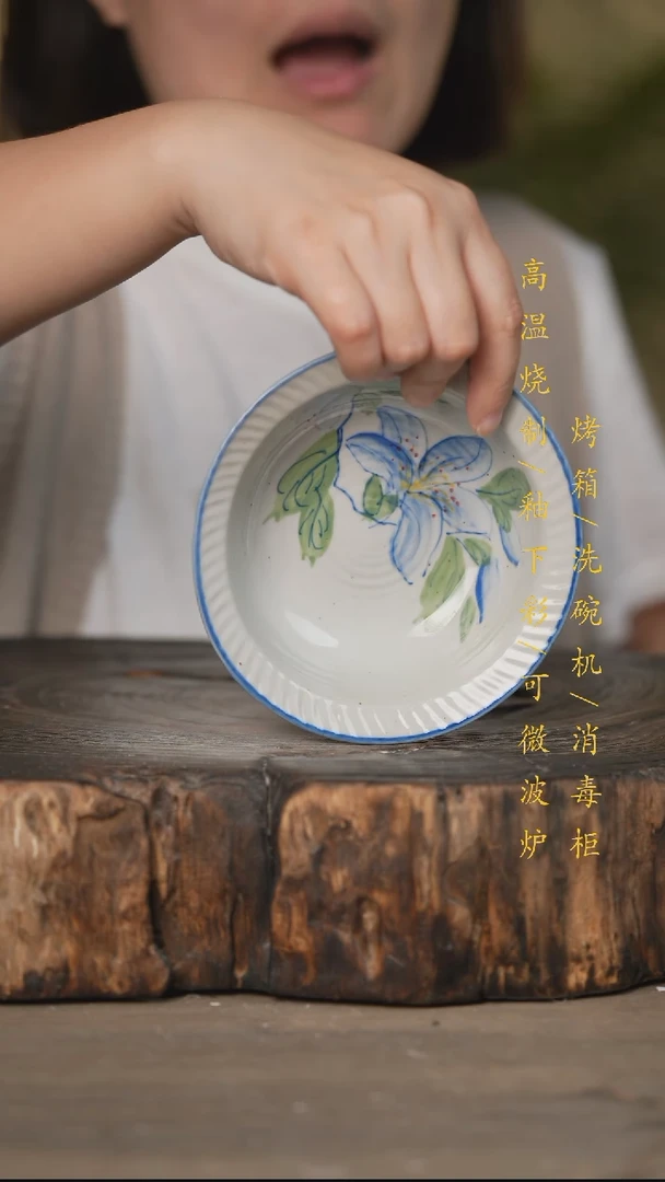 碗景德镇高温釉下彩可微波烤箱洗碗机