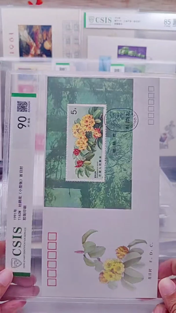T162M  杜鹃花    邮票首日封