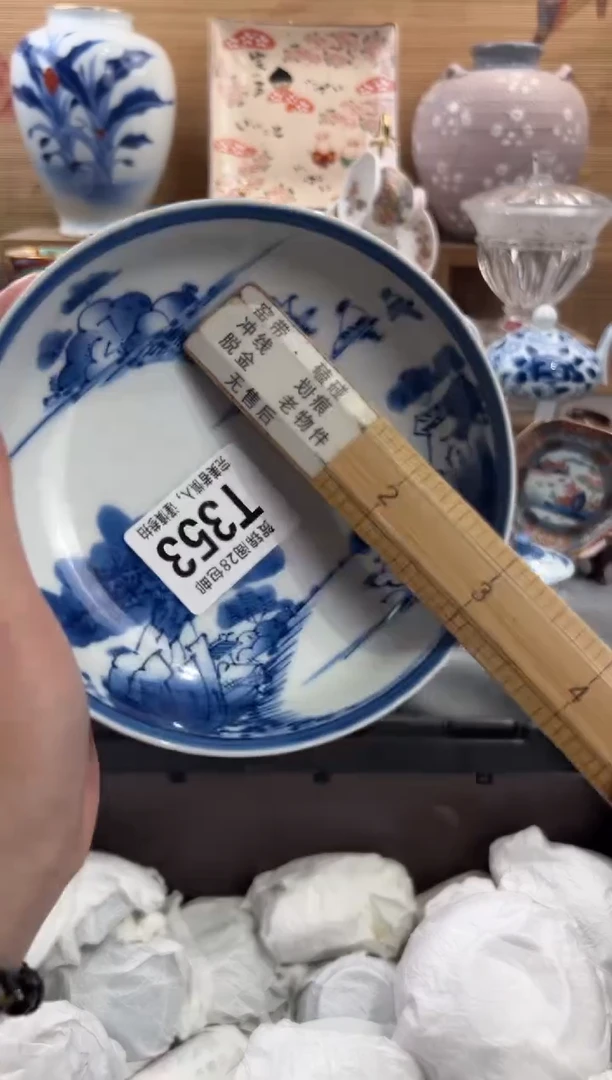 瓷片鱼*      T353