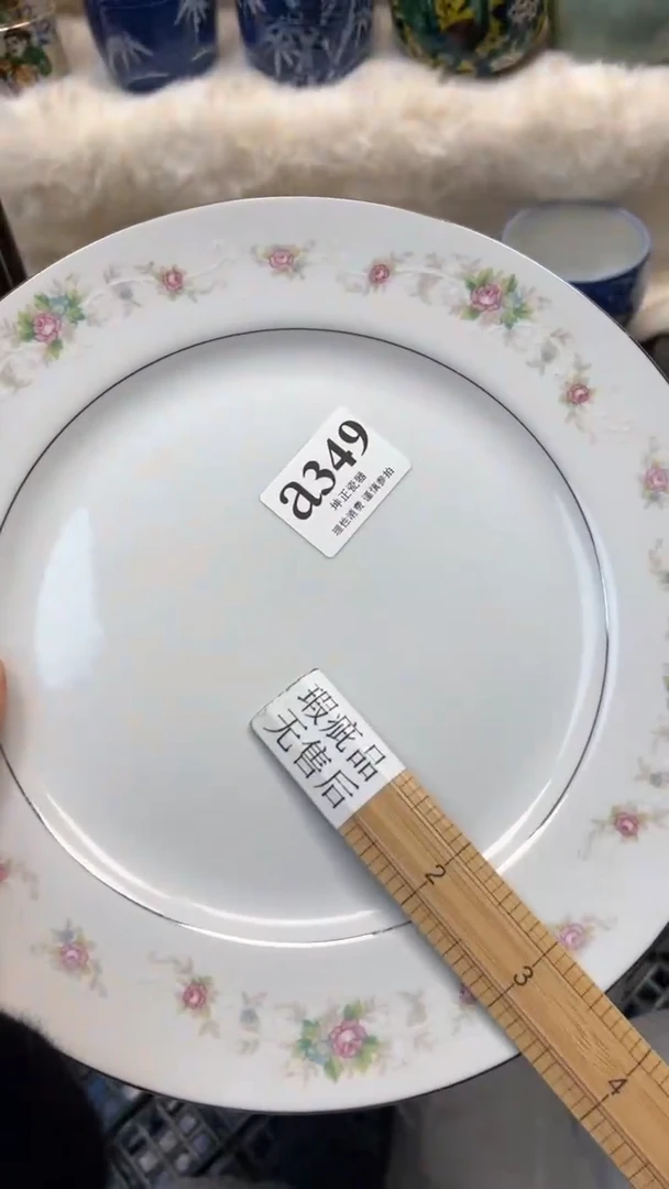 【闪购商品】瓷片          a349