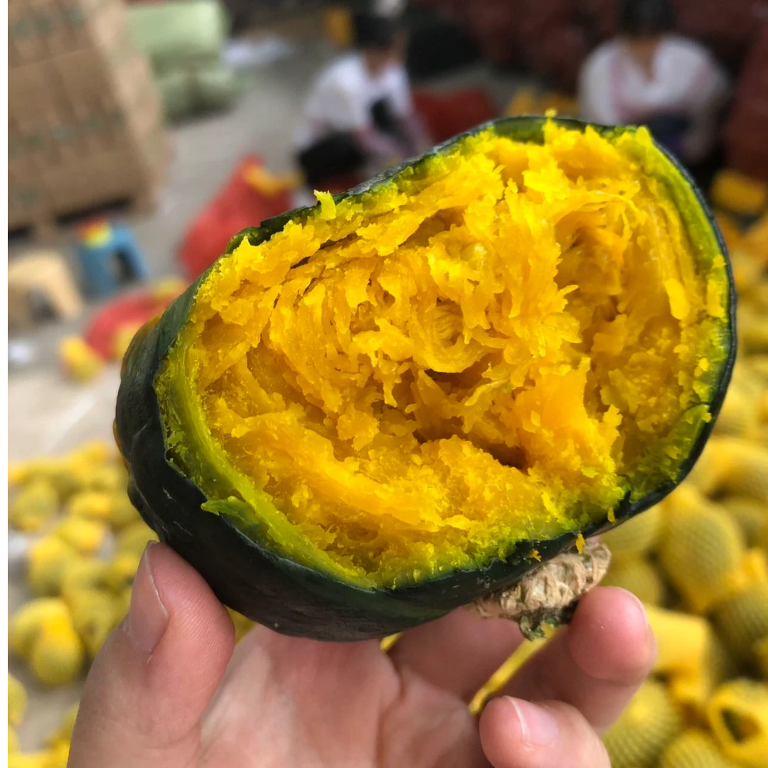 正宗贝贝南瓜粉糯新鲜板栗味小南瓜栗面现摘现发优质农产品代餐