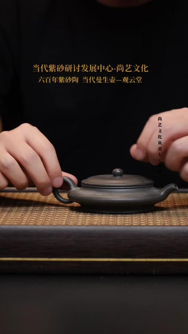 茶壶紫砂宜兴紫砂壶虚扁壶