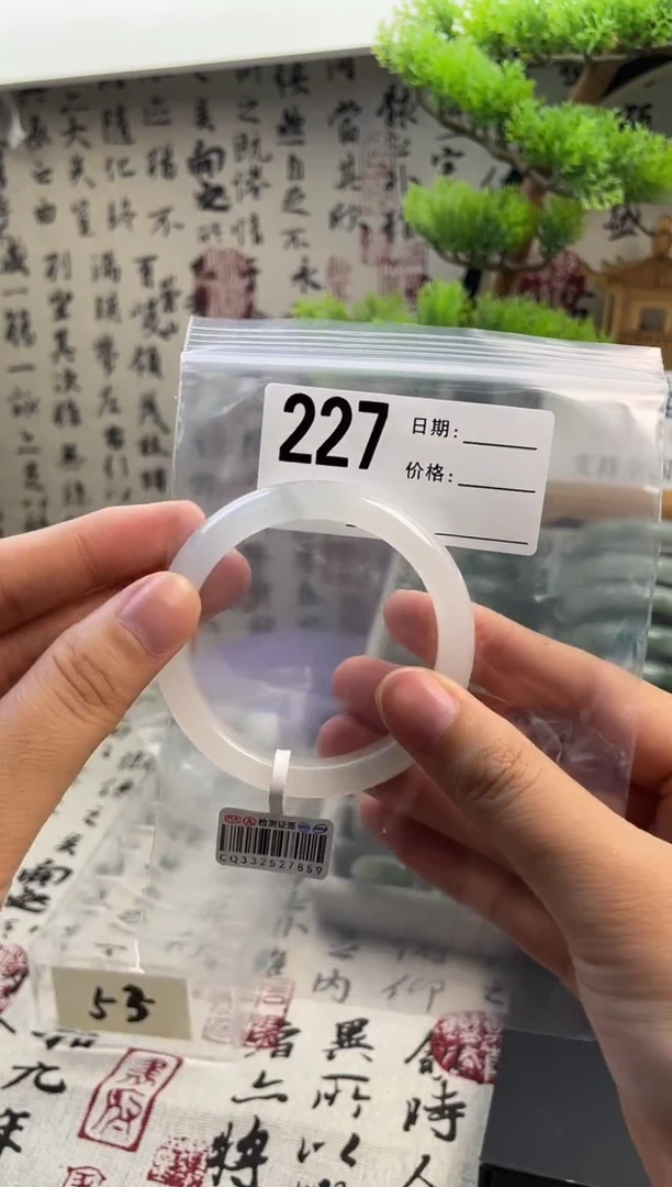 石英质玉（天山翠）手镯未镶嵌227