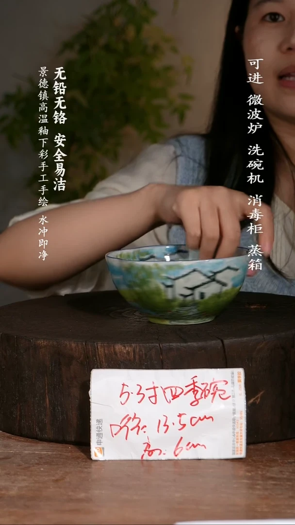 碗陶瓷景德镇高温瓷釉下彩手绘陶瓷