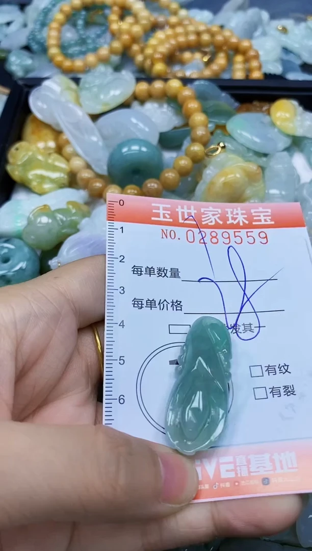 翡翠未镶嵌颈饰闪购0289559