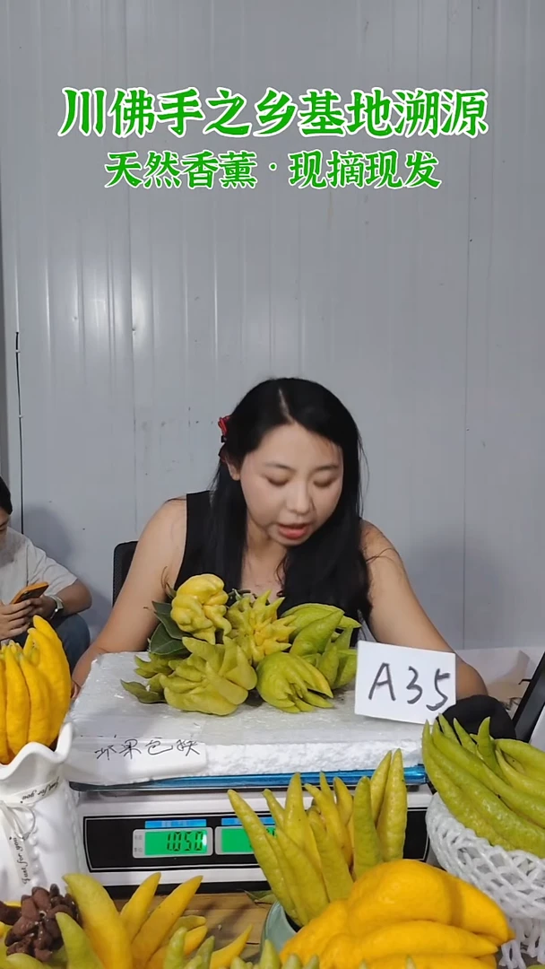 柑橘一物一拍  高山川佛手柑鲜果A35（断枝不售后）