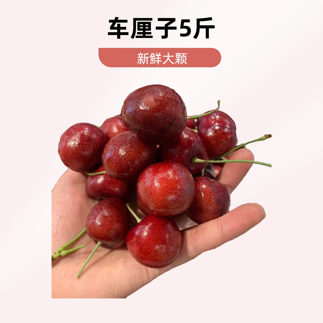 （南宁同城小时达）车厘子拉宾斯 4JD原箱原装发 五斤 (超15颗以后坏一颗赔一元，拆袋不退不换） 内附果径卡