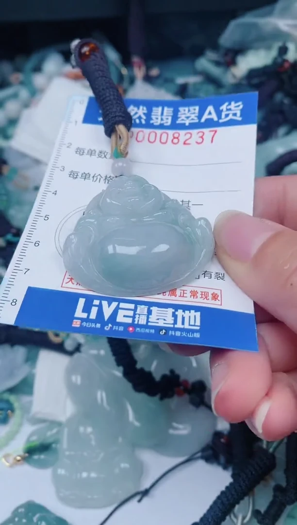 颈饰未镶嵌翡翠00008237