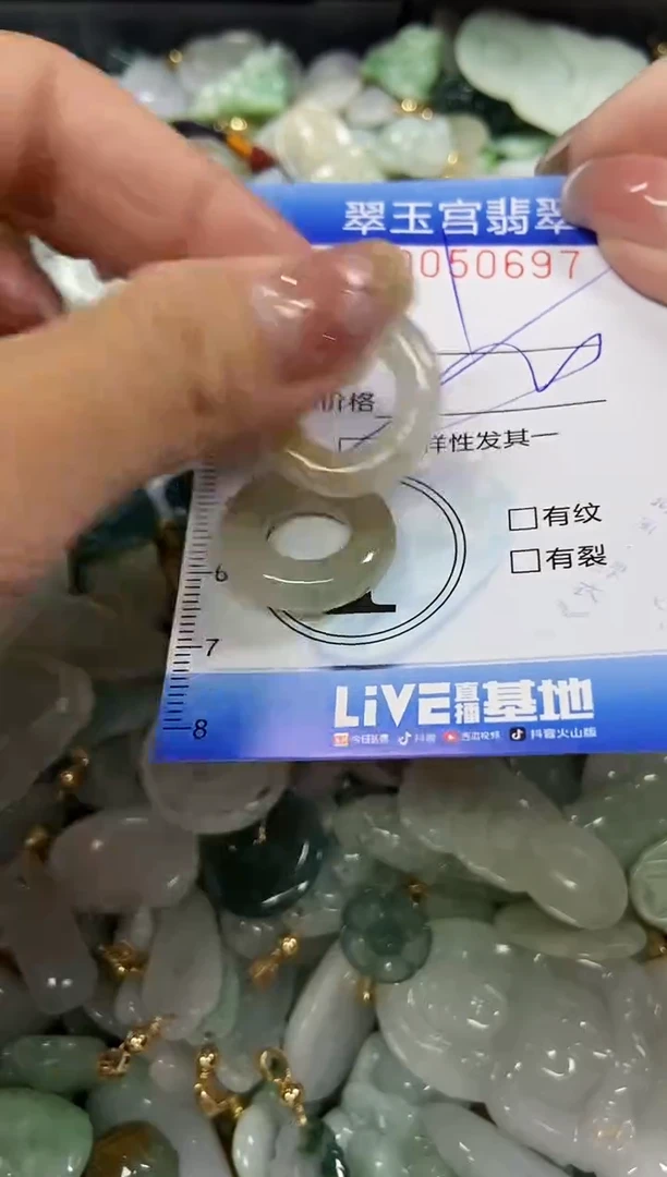 【闪购商品】翡翠颈饰未镶嵌闪购0050697多样性发其一