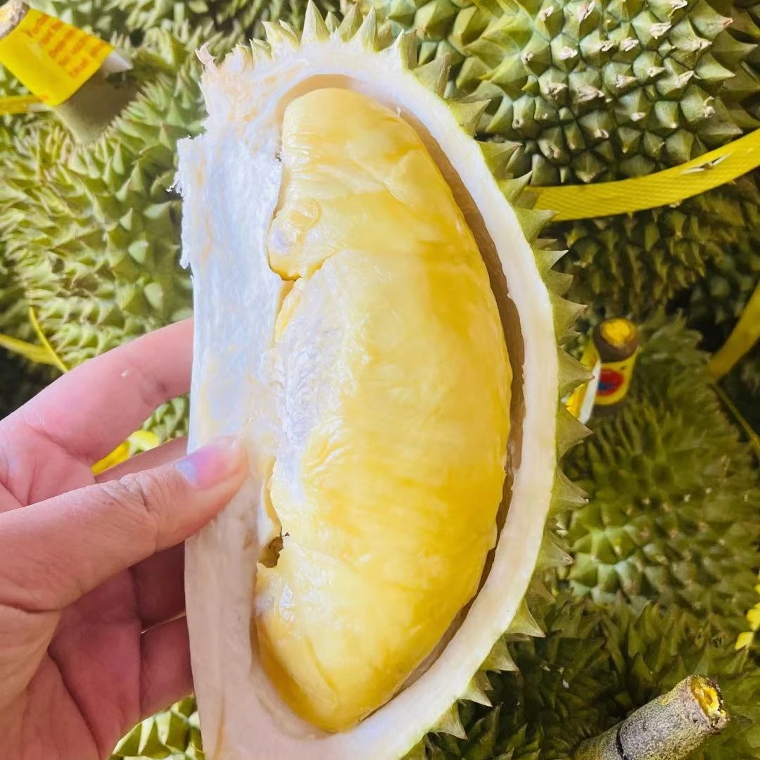 ①【亮哥优选】泰国树熟托曼尼榴莲新鲜榴莲鲜果整果3-6斤托曼尼榴莲（托曼尼核大）编号1-50托曼尼泰国