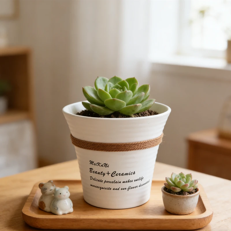 ins简约陶瓷花盆文字装饰多肉植物盆栽白色圆形网红创意设计桌面