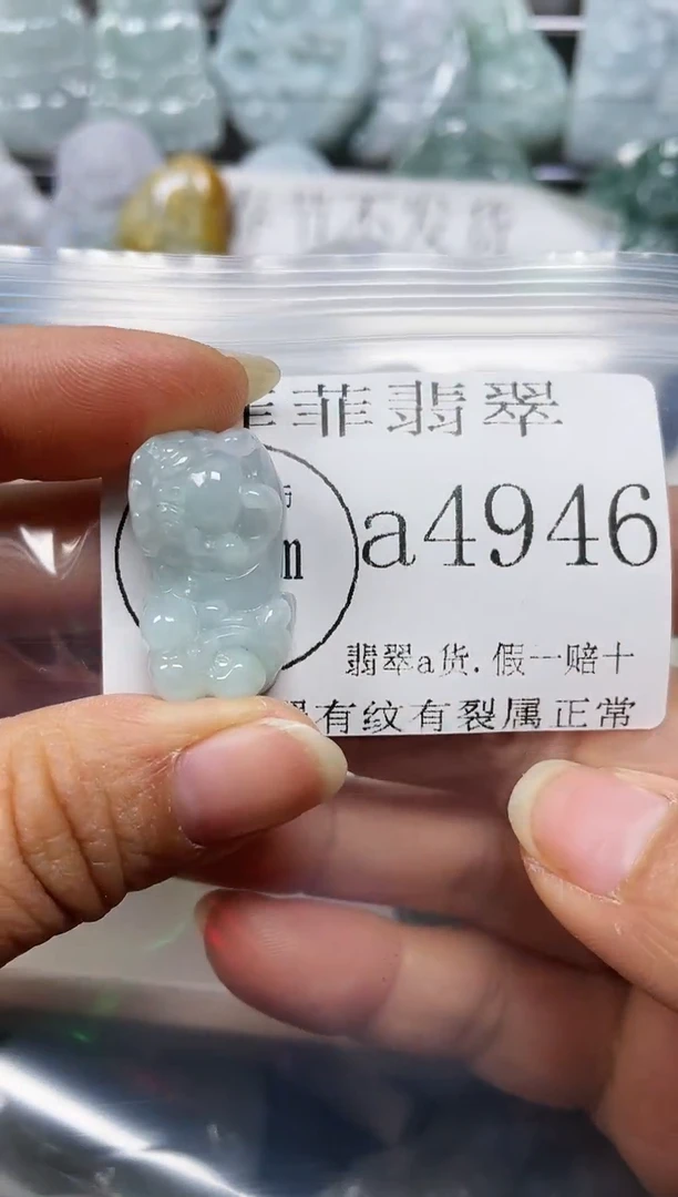 【闪购商品】翡翠颈饰未镶嵌闪购4946