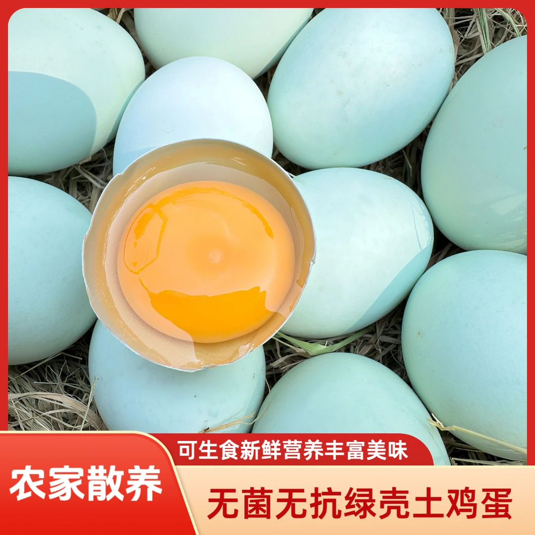 绿壳五黑鸡土鸡蛋农家散养乌鸡蛋五黑鸡蛋绿壳蛋无菌无抗可生食新鲜营养土鸡蛋现捡现发