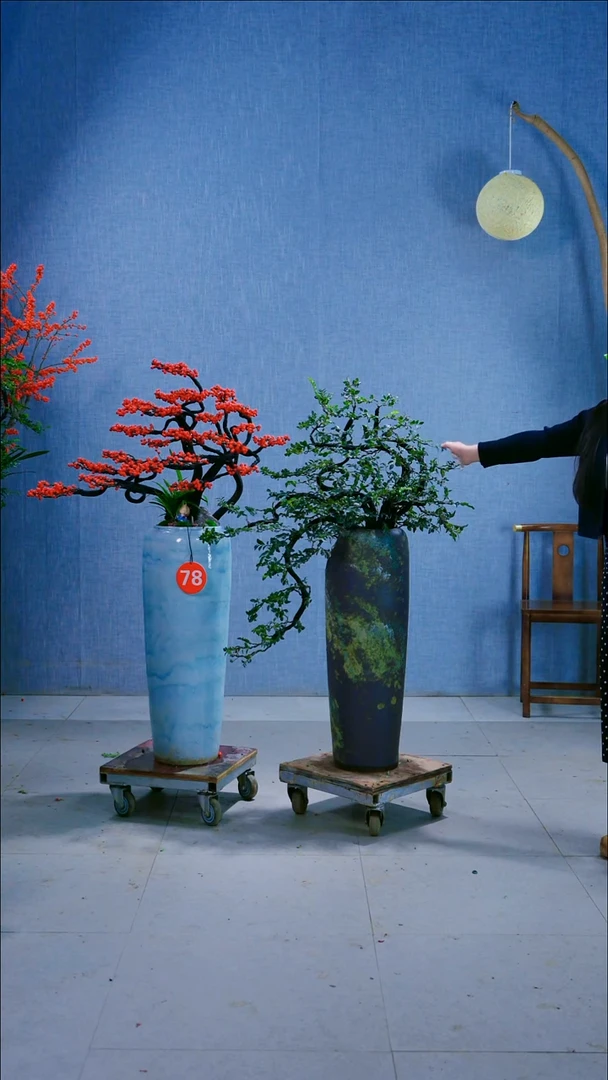 无花朵丫****i78号盆5号盆链接