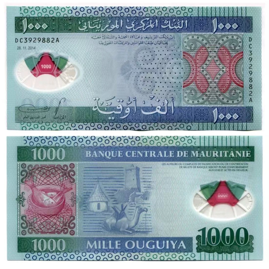 【塑料钞】毛里塔尼亚1000乌吉亚 外国钱币 非洲货币 世界各国
