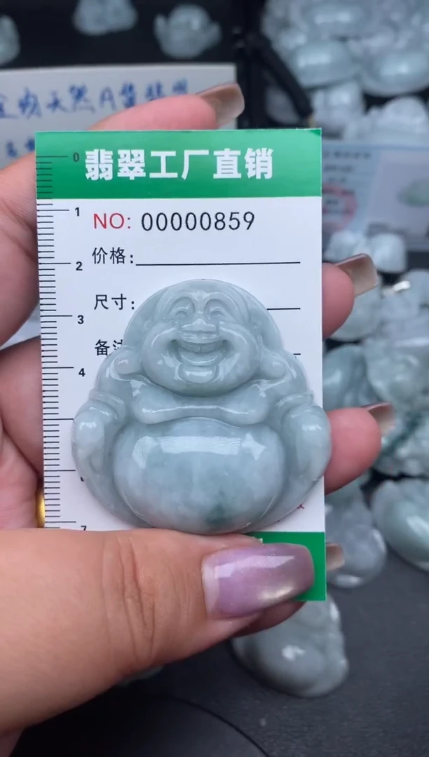翡翠未镶嵌颈饰缅甸天然A货翡翠0859