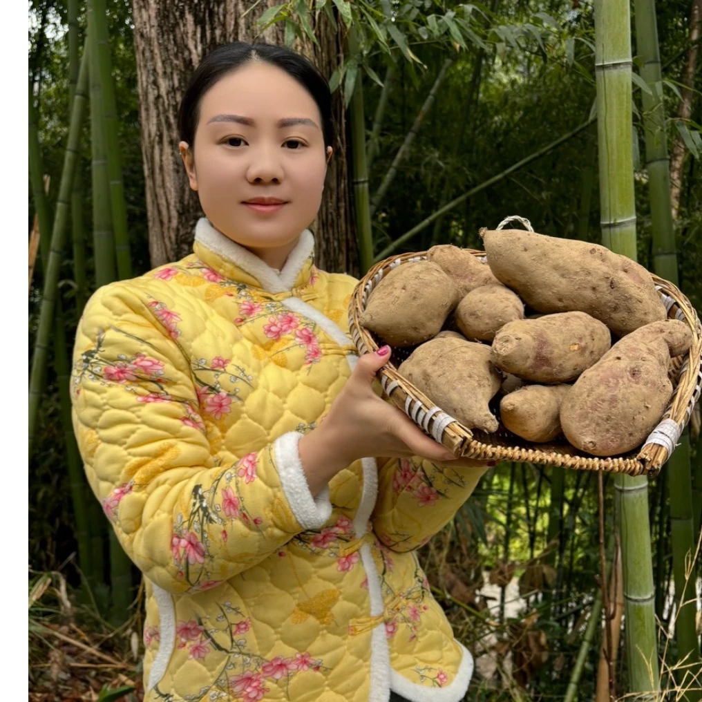 高山农家自种蜂蜜红薯