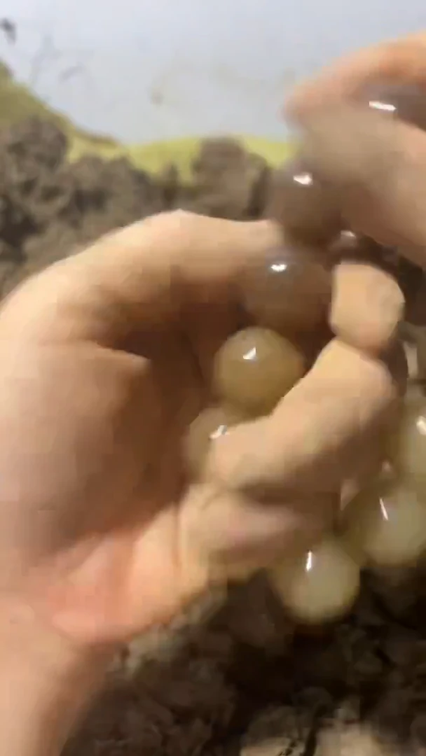 摆件精选家居饰品