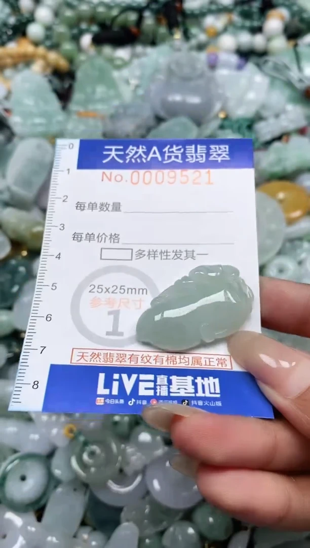 翡翠未镶嵌颈饰闪购0009521
