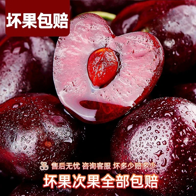 智利进口拉宾斯车厘子孕妇5J海运5斤包邮到家TT 内附果径卡