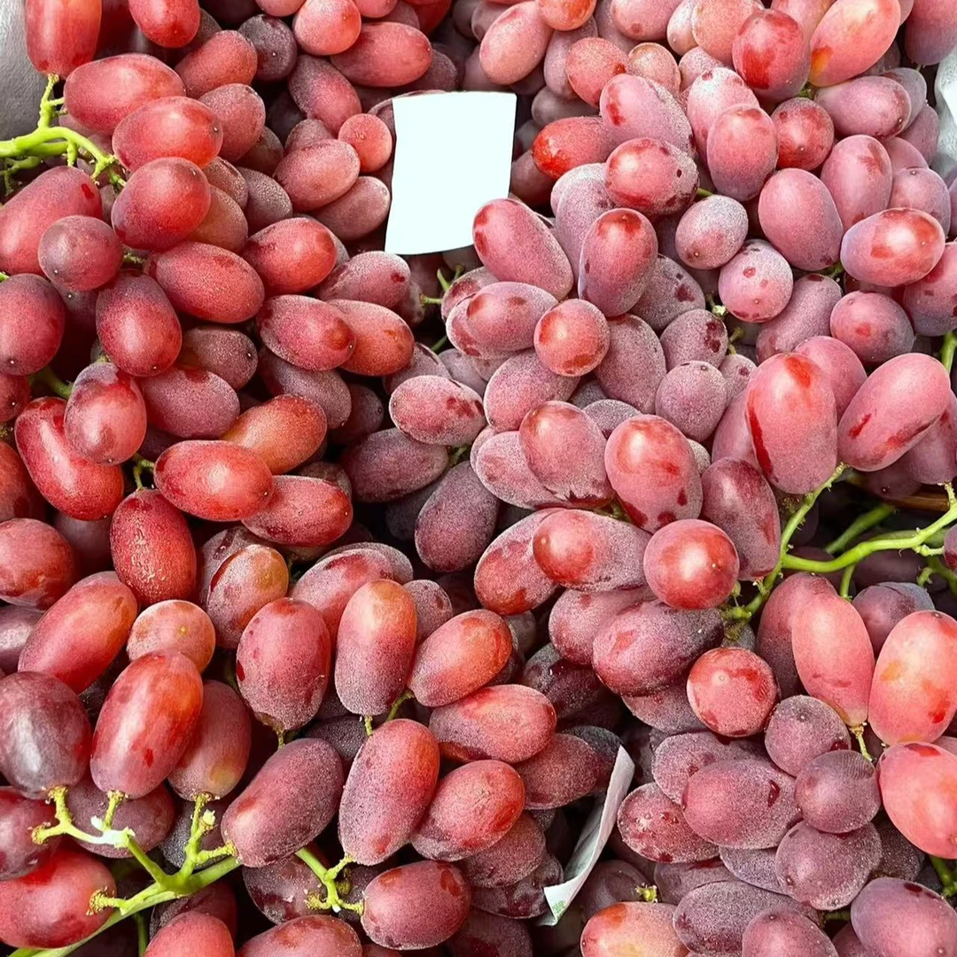 现摘无籽提2斤19.9吉林省