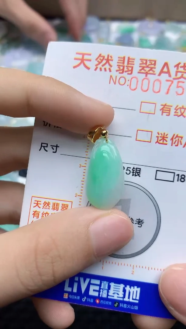 翡翠未镶嵌颈饰737373737