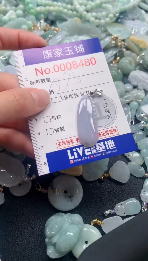 颈饰未镶嵌翡翠8480