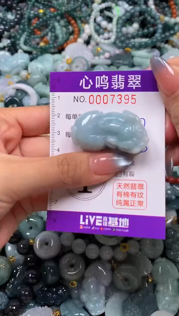 颈饰未镶嵌翡翠闪购007395