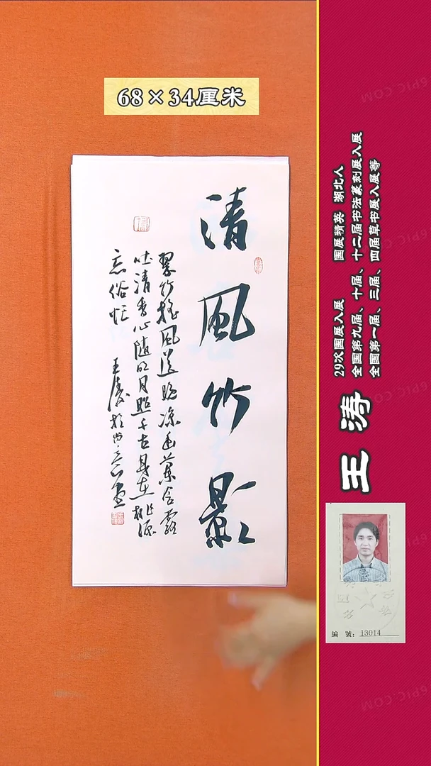 书法660D王涛书法作品