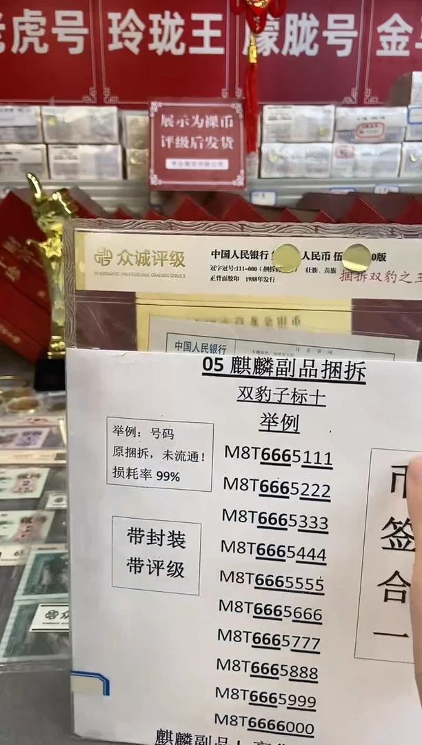 双豹子【捆拆双豹之王】