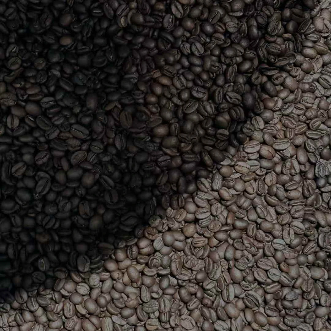 攀枝花咖啡豆浓郁可可风味