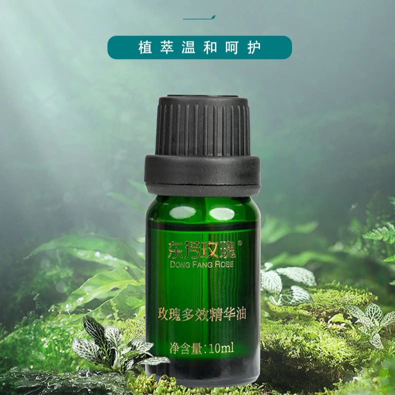 【双十一】15瓶新款东芳玫瑰多效精华油抗皱保湿紧致