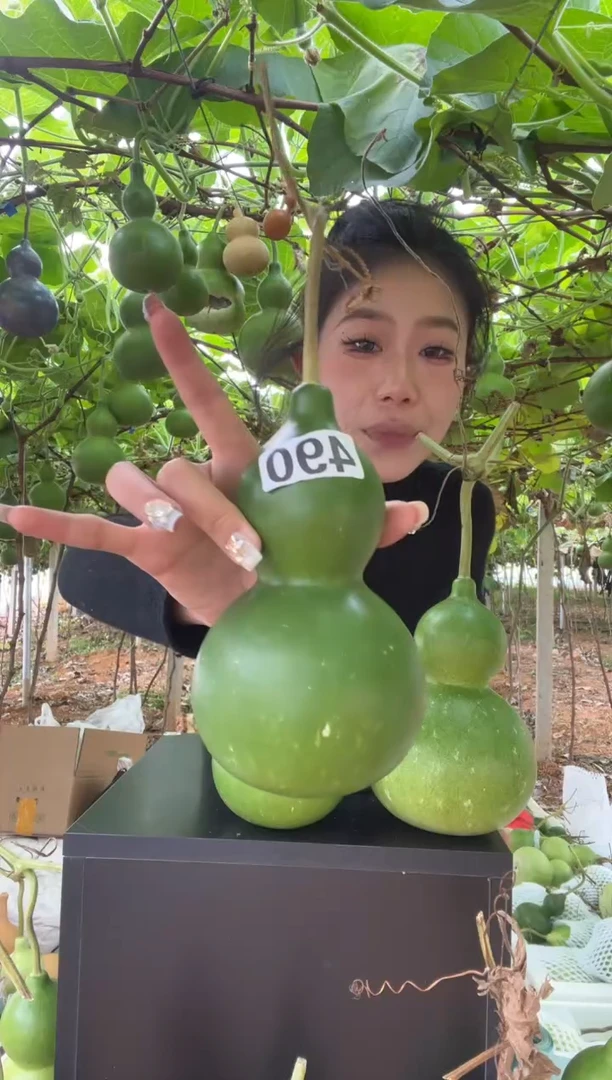 490天然葫芦摆件 一物一拍龙头不保售后