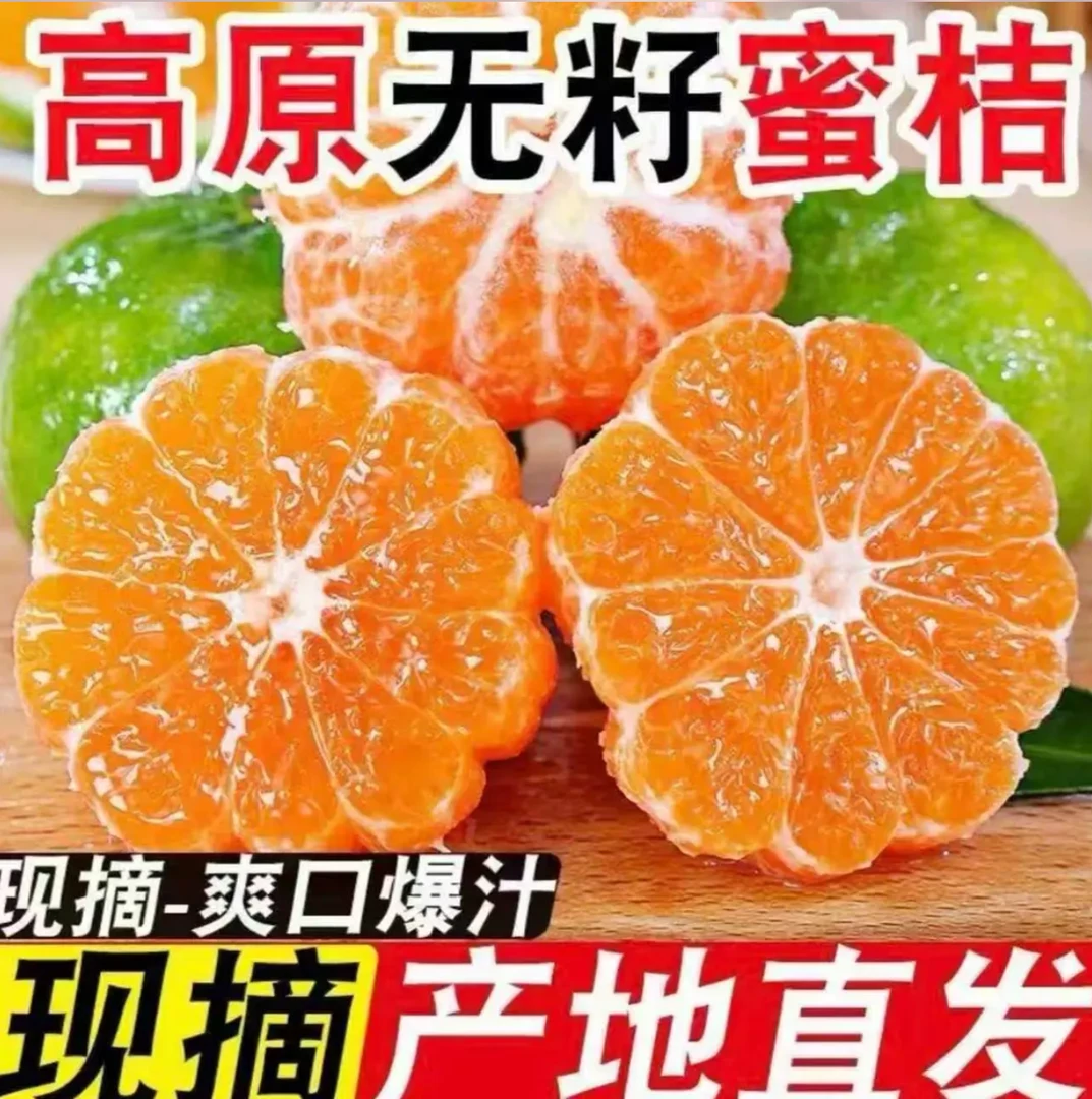 新鲜橘子湖北蜜桔薄皮桔子青皮无籽柑橘应季孕妇水果蜜橘甜非丑橘