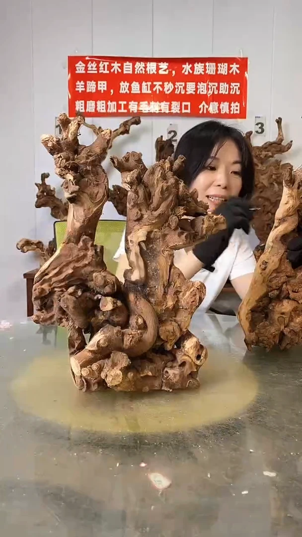 香榧木金丝红木  羊蹄甲