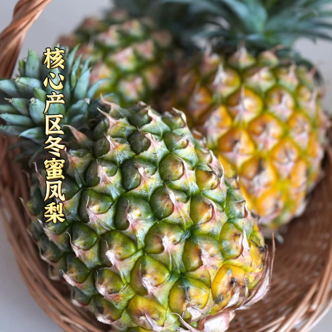 【顺丰】海南空运自然熟新鲜冬蜜凤梨 2颗/4颗（仅发南京）