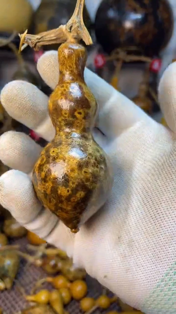 【闪购商品】葫芦葫芦葫芦葫芦葫芦