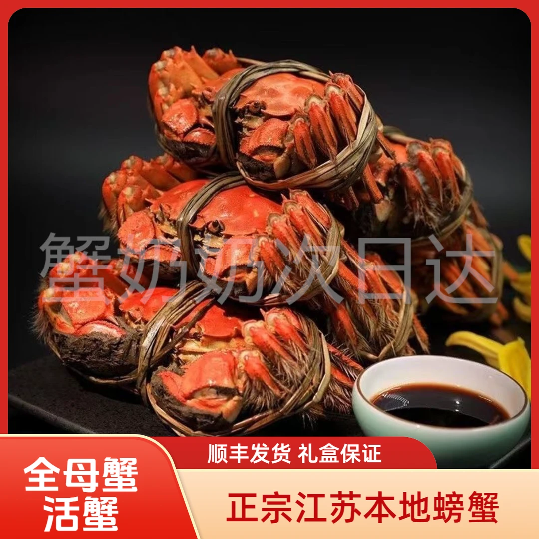 【活蟹全母蟹】鲜活河蟹1.7-2.0两10只起江苏螃蟹顺丰发货