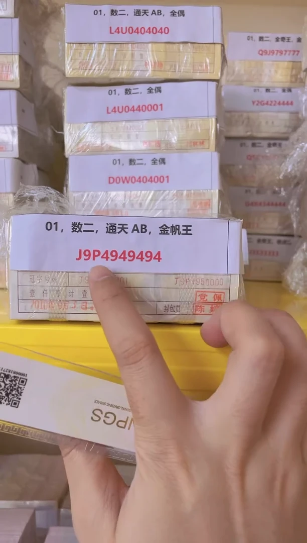 M  01，数二，通天AB，金帆王 J9P4949494