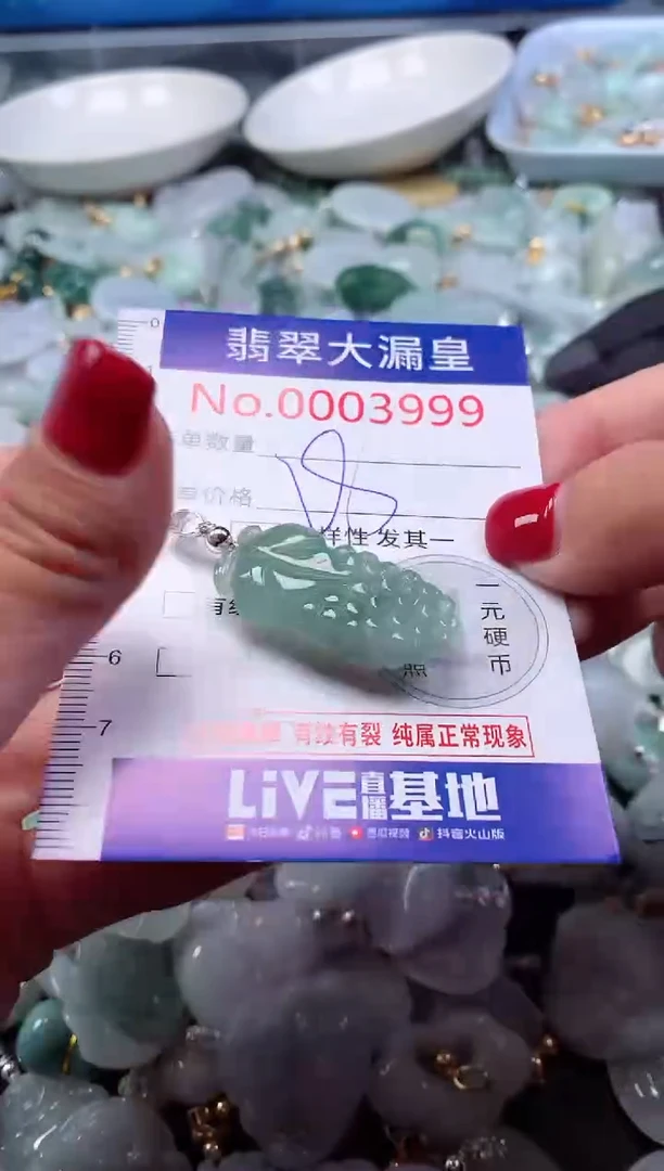 颈饰未镶嵌翡翠3999