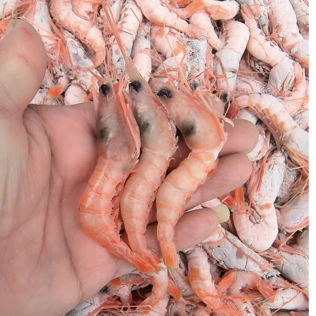 东海野生海捕红虾三大金顺丰冷链包邮