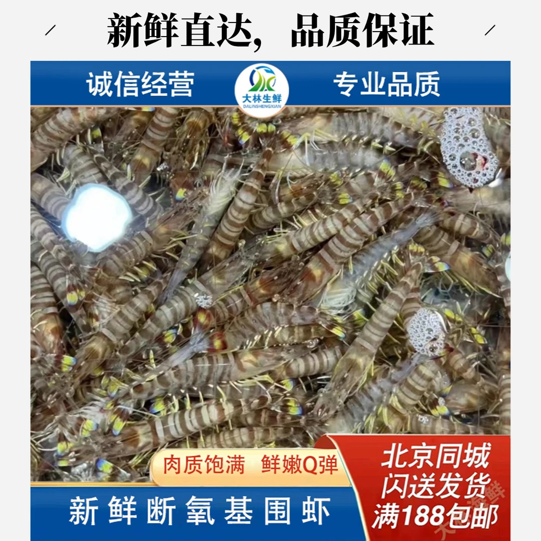 特惠 保鲜基围虾 九节虾  3斤一份（35-50条/斤 ）非活虾，介意慎拍大虾同城送
