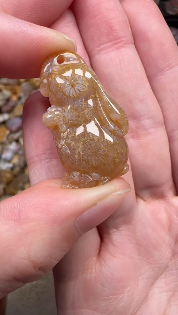 颈饰未镶嵌硅化珊瑚（珊瑚玉）174