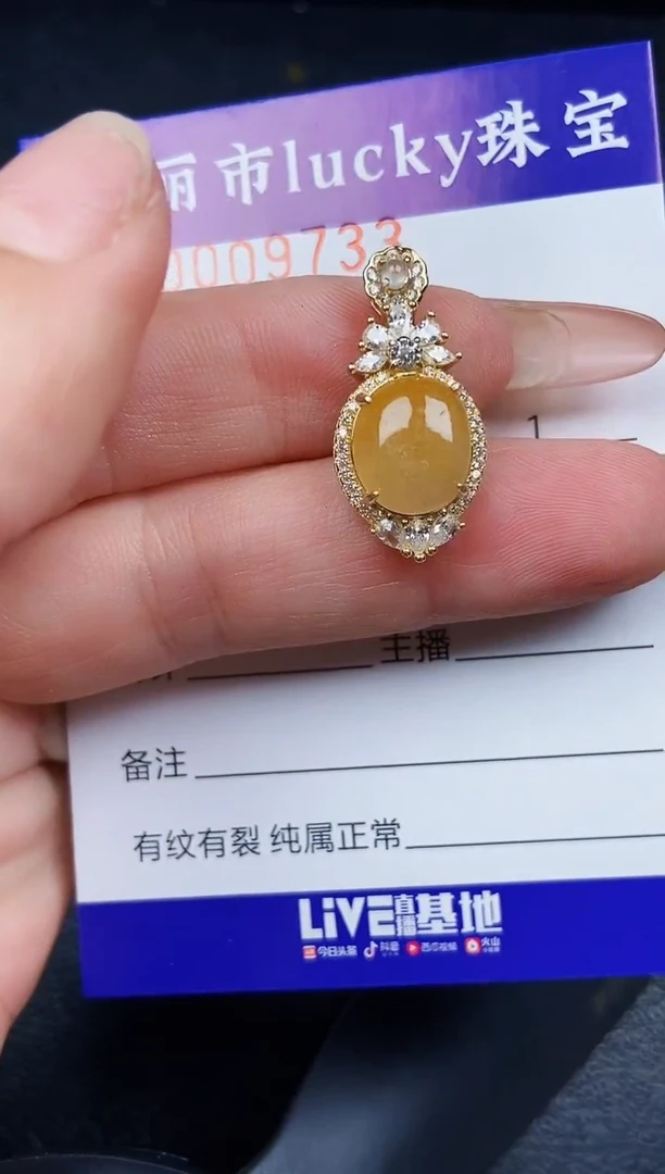 翡翠银S925镶嵌颈饰9732