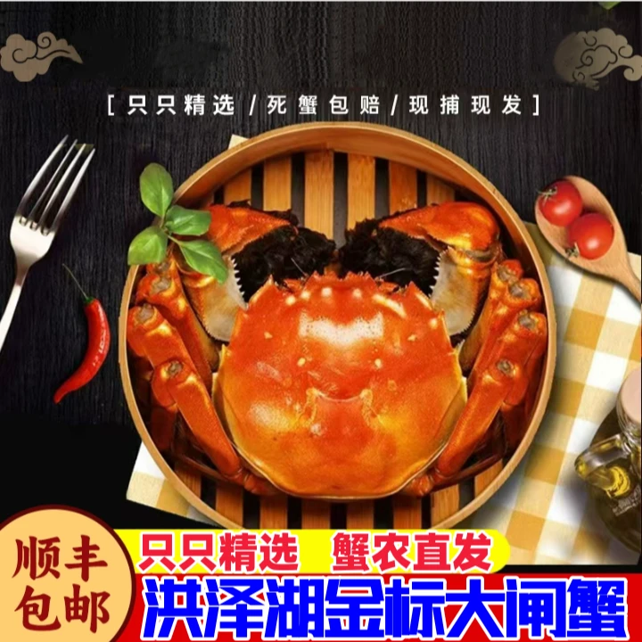 【金标活蟹】8只10只装全母蟹3.0-3.5两洪泽湖螃蟹顺丰包邮礼盒装W3