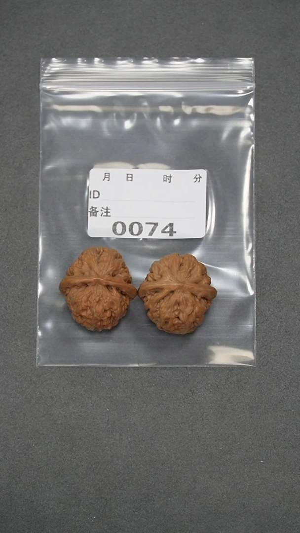 【闪购商品】文玩核桃把件32凤凰台