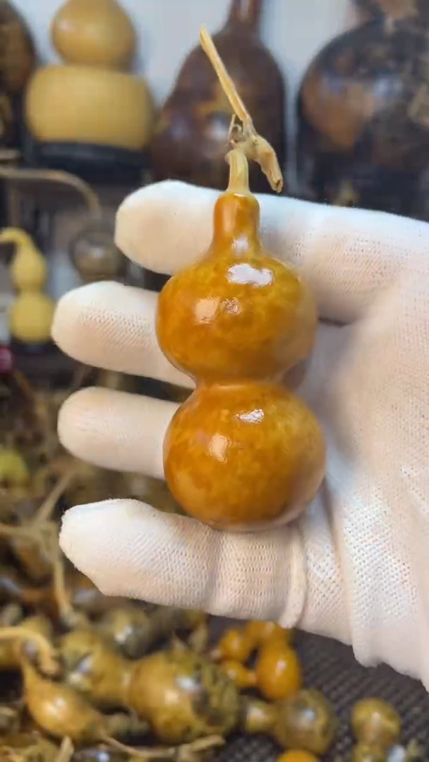 【闪购商品】葫芦葫芦葫芦葫芦