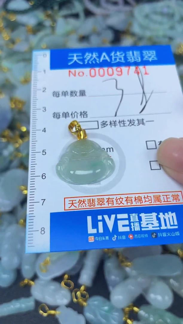 颈饰未镶嵌翡翠净货挂件-9741