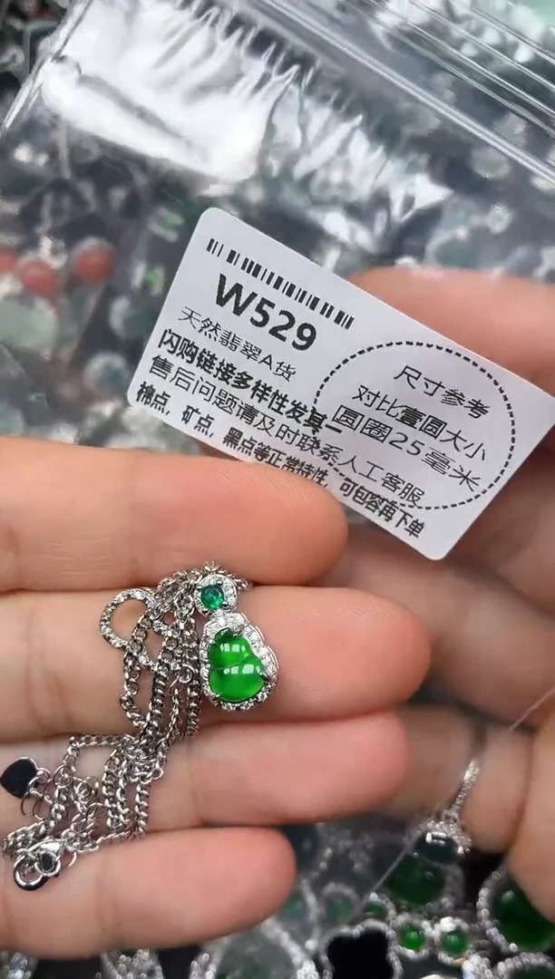 颈饰未镶嵌翡翠W529项链